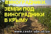продажа виноградников в Крыму