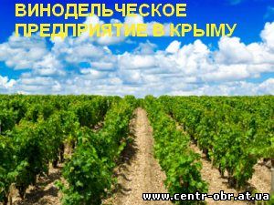 Винодельческое предприятие в Крыму