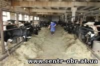 купить фермерское хозяйство в Крыму